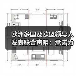 欧洲多国及欧盟领导人发表联合声明：承诺为乌提供安全保障
