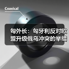 匈外长：匈牙利反对欧盟升级俄乌冲突的举措