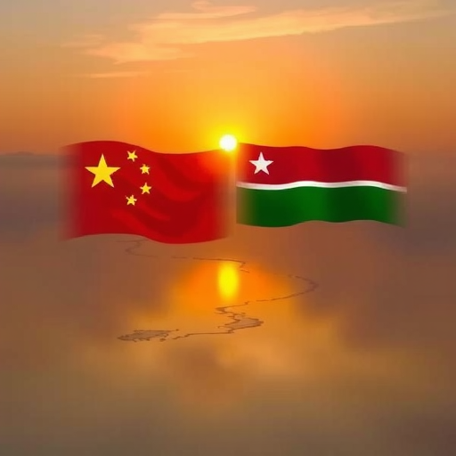 中方敦促稳步推进南苏丹政治过渡