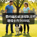 委内瑞拉武装部队宣布增招士兵5600名