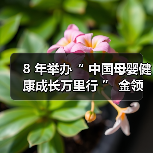 8 年举办“ 中国母婴健康成长万里行 ” 金领冠以专业力量持续守护母婴健康