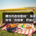 哪些药品能报销？ 医保商保“双目录”查询功能上线 　　