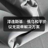 泽连斯基：俄乌和平协议无简单解决方案