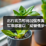 北约官员称将加强东翼军事部署以“威慑俄罗斯”