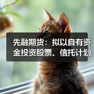 先融期货：拟以自有资金投资股票、信托计划、证券及期货资产管理计划等金融产品