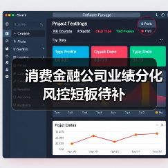 消费金融公司业绩分化风控短板待补