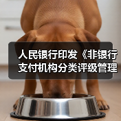 人民银行印发《非银行支付机构分类评级管理办法》