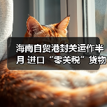 海南自贸港封关运作半月 进口“零关税”货物达4.2亿元