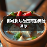 挪威拟从德国再购两艘潜艇